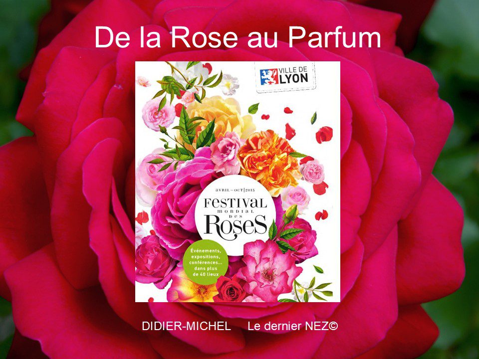 festival de la rose affiche du festival de la rose de lyon
